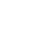 Ensure Power Availability white icon